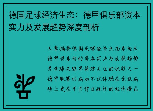 德国足球经济生态：德甲俱乐部资本实力及发展趋势深度剖析